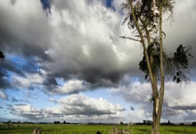 天博体育：福伊特：没想到冬窗埃梅里想要我；享受和维尼修斯的对决.