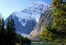 天博体育：金球奖官方社媒被冲：小熊值得金球奖，抢劫！.